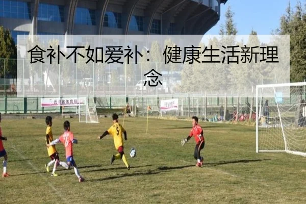 食补不如爱补：健康生活新理念
