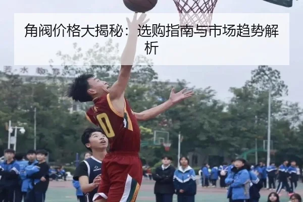 角阀价格大揭秘：选购指南与市场趋势解析