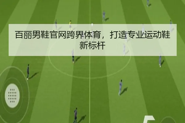 百丽男鞋官网跨界体育，打造专业运动鞋新标杆